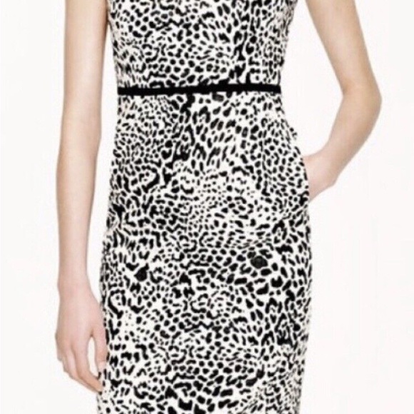 J Crew Collection Animal Print Sleeveless Shift Dress in Ivory and Black Sz 6 - Picture 3 of 7